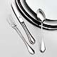 Wilkens Collectors cutlery