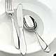 Villeroy & Boch cutlery
