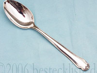 Bruckmann Favorite - table spoon 21,5cm 