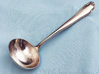 Bruckmann Favorite - sauce ladle 