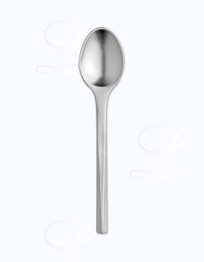 Stelton Prisme coffee spoon 