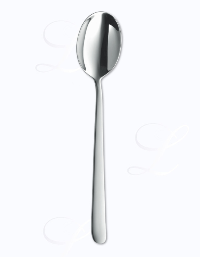 BSF Melody dinner spoon 