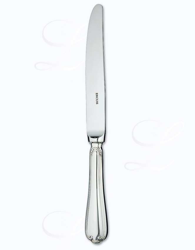 Ercuis Sully Acier table knife hollow handle 