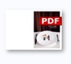Raynaud Hommage Checks PDF
