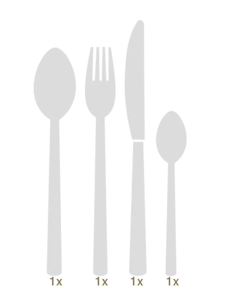 Gebrüder Reiner Bernina dinner set 04 pcs