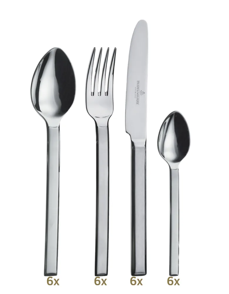 Picard & Wielpütz Villago satiniert dinner set 24 pcs monobloc