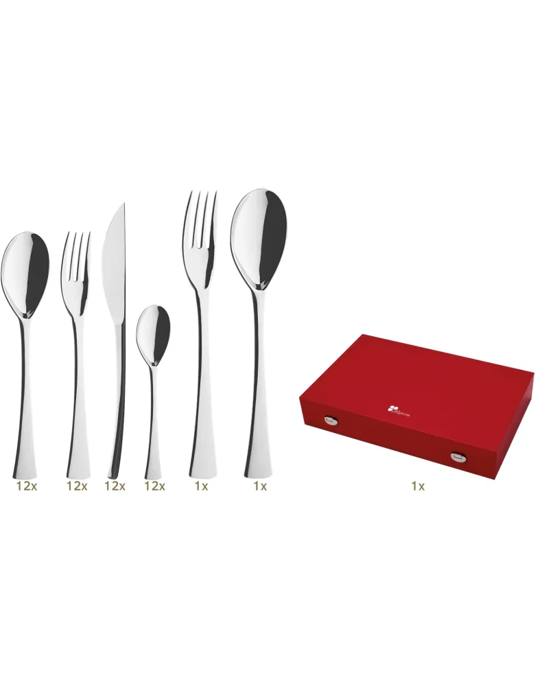 Guy Degrenne Solstice Garnitur Tafelbesteck 50 tlg Monobloc n°1 Edelstahl